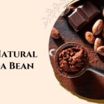 Best Natural Cocoa Bean: Key Benefits for Food & Beverage Brands
