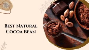 Best Natural Cocoa Bean: Key Benefits for Food & Beverage Brands