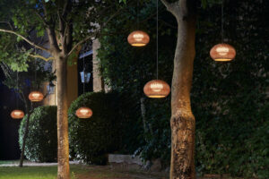 Why Bees Swarm Near Garden Lighting at Night