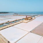 Indian salt demand soars — Gujarat manufacturers lead with export-grade global standards