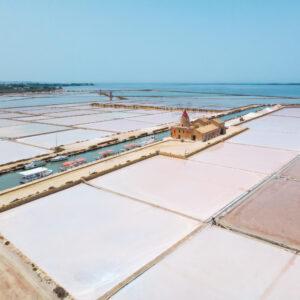 Indian salt demand soars — Gujarat manufacturers lead with export-grade global standards