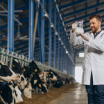 How ERP Helps Overcome Key Challenges in the Dairy Industry
