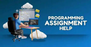 Where to Get Programming Assignment Help? I Need Someone to Do My Programming Homework?