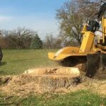 How Stump Removal Improves Landscape Safety and Aesthetics