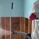Everything Homeowners Should Know About Mold Remediation in Commerce, GA