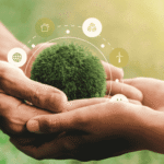 Nature Based Solutions Pathway Sustainability in Urban Development