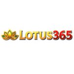 Online Cricket Betting ID: Why Smart IPL Bettors Trust lotus365cticketidprovider