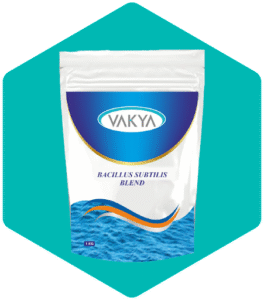 Probiotic Manufacturers in India: Driving the Future of Gut Health with Vakya Prob 1 Probiotic Manufacturers in India: Driving the Future of Gut Health with Vakya Prob