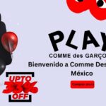 Comme des Garçons Hoodie Collection Where Streetwear Meets Avant-Garde Design 3 Comme des Garçons Hoodie Collection Where Streetwear Meets Avant-Garde Design