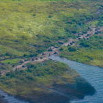 DRC eVisa for Belize Citizens