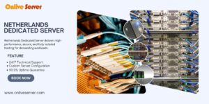 Maximize Website Performance and Security with Netherlands Dedicated Server