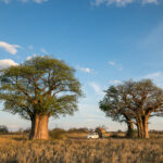 Botswana eVisa for Nigerian Citizens