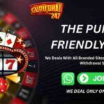 What Makes Guru Bhai 247 a Trusted Choice for Cricket Followers
