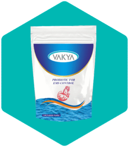 Probiotic Sachet and Suspension: The Smart Choice for Gut Health by Vakya Prob