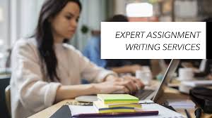 What Are Some Reputable Websites That Offer Paid Assignment Writing Services?