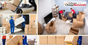 Why Cheap Movers Melbourne Are the Smartest Choice for Stress-Free Relocation
