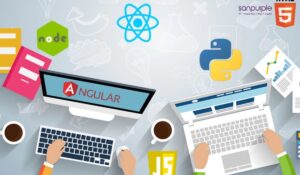 Best Web Development Company in Pune for Startups and Enterprises