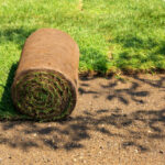 Why Quality Turf for Garden Areas Makes All the Difference