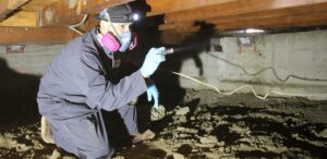 Protect Your Home from Water Damage: Trusted Waterproofing Solutions in Maryland 1 Protect Your Home from Water Damage: Trusted Waterproofing Solutions in Maryland