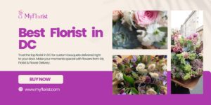Washington DC Flower Delivery: Fresh Blooms for Every Occasion
