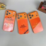 Hermes vs Poor-Quality Cases for iPhone 17 Pro Max Protection