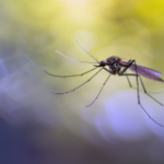 Anti-Insect Net Manufacturers for Food Processing Unit Hygiene | Arthi Enterprises