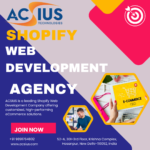 Grow Your Store When You Hire Professional Shopify Developers 3 Grow Your Store When You Hire Professional Shopify Developers