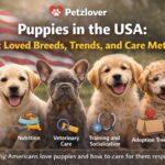 Puppies in the USA: Most Loved Breeds, Trends, and Care Methods