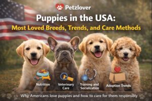 Puppies in the USA Most Loved Breeds, Trends, and Care Methods
