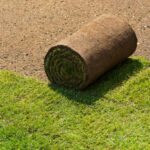 Why Turf for Garden Landscaping Is the Smart Choice for Modern Homes