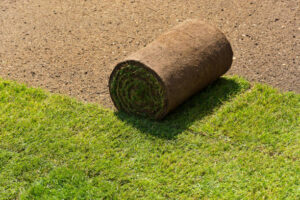 Why Turf for Garden Landscaping Is the Smart Choice for Modern Homes 1 Why Turf for Garden Landscaping Is the Smart Choice for Modern Homes