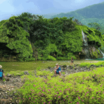 Oman eVisa from Bosnia-and-herzegovina