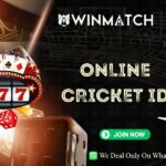 How Online Sports Platforms Are Changing the Sports World