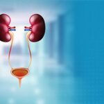 When Should You See a Urologist? Common Signs and Symptoms