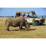 Tanzania Safaris & Tours | Wildlife Adventures & Trips
