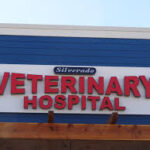 What Makes a Veterinary Clinic Reliable for Long-Term Pet Care 3 What Makes a Veterinary Clinic Reliable for Long-Term Pet Care