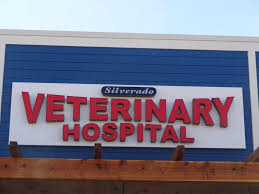 What Makes a Veterinary Clinic Reliable for Long-Term Pet Care