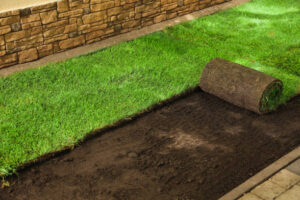 Why Turf Installation Is Smarter Than Reseeding Your Lawn