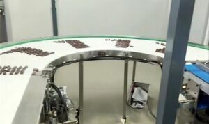 Why Indian Manufacturers Are Choosing Curve Conveyors | Curve Conveyors Manufacturers in India