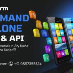 Enter Any Niche Market Swiftly with Our On-Demand Clone Script for Startups 3 Enter Any Niche Market Swiftly with Our On-Demand Clone Script for Startups