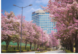 North Bangalore Apartments For Sale