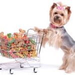 Online Pet Store: Convenient, Affordable, and Reliable