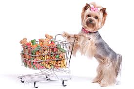 Online Pet Store: Convenient, Affordable, and Reliable