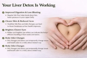 Signs of Liver Detox Working: What to Expect 1 Signs of Liver Detox Working: What to Expect