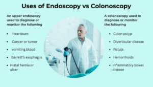 Endoscopy vs Colonoscopy: Key Differences, Uses & What to Expect