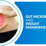 Understanding the Gut Microbiome and Its Role in Health