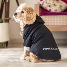 How to Choose the Best Dog Clothing Online for Your Pup