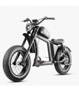 Entdecken Sie das ultimative Fahrerlebnis mit einem Fatbike E-Bike