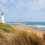 Buyers Advocate Geelong for Expert Property Representation