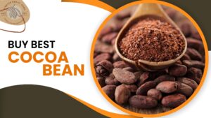 Buy Best Cocoa Bean: A Guide for Chocolate and Beverage Makers